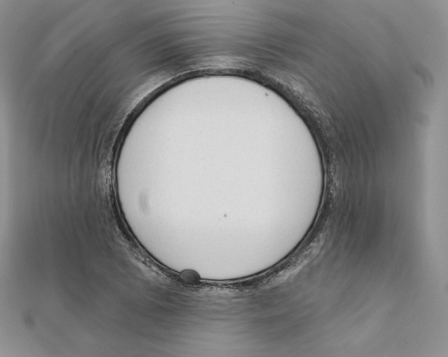 X0000111131073200907281045