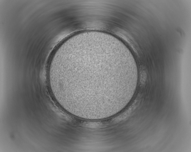 X0000111131074200907281045