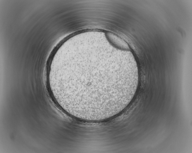 X0000111131076200907281045