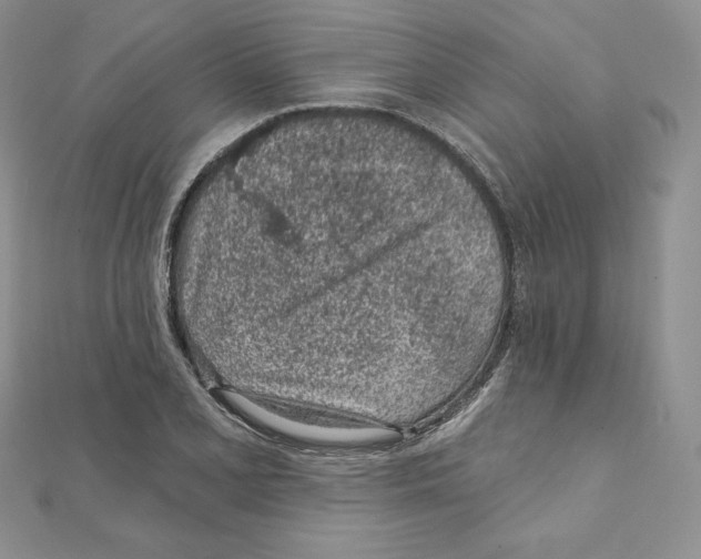 X0000111131077200907281045