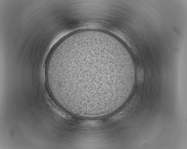 X0000111131078200907281045