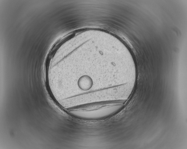 X0000111131080200907281045