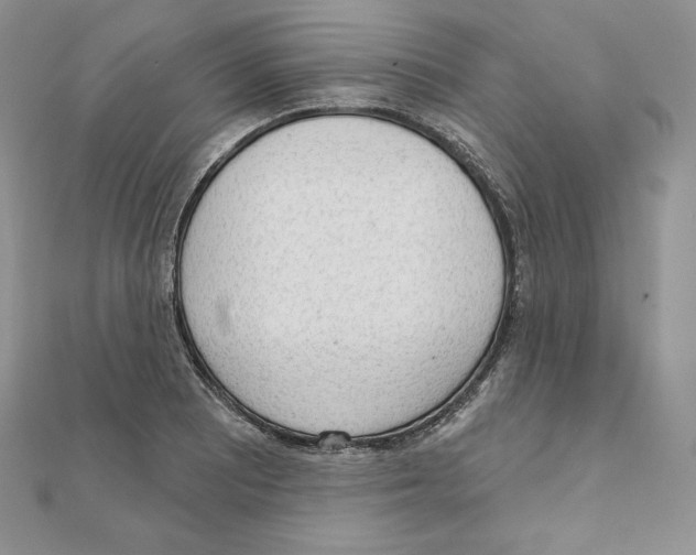 X0000111131081200907281045