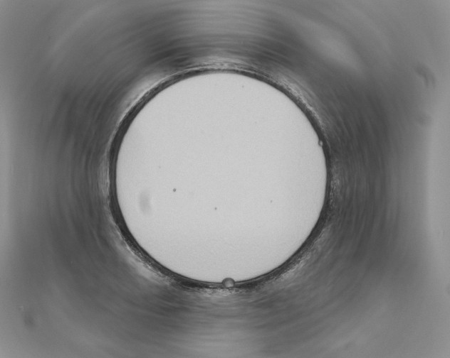 X0000111131082200907281045