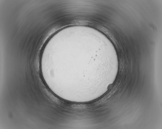 X0000111131083200907281045