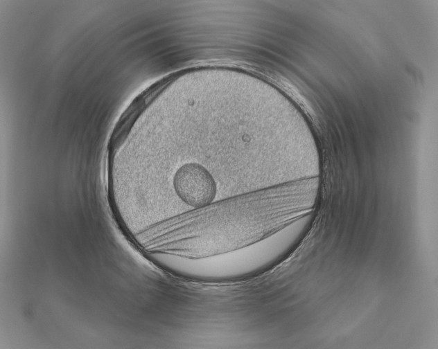 X0000111131084200907281045
