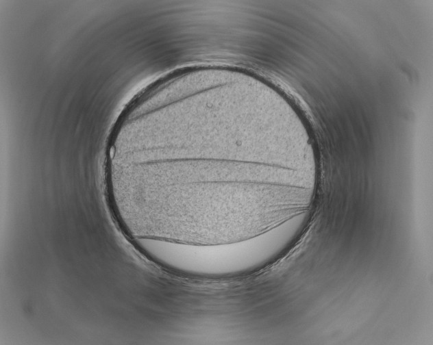 X0000111131085200907281045