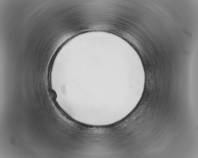 X0000111131087200907281045