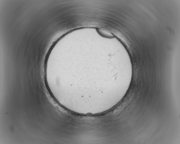 X0000111131088200907281045