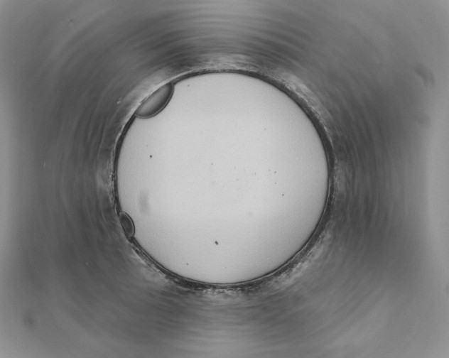 X0000111131089200907281045