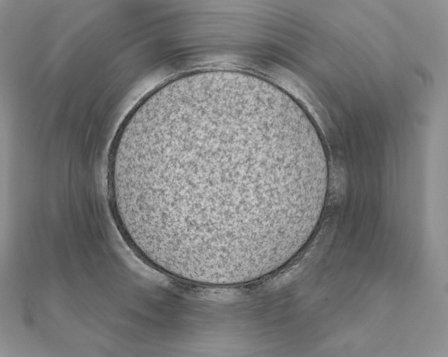 X0000111131090200907281045