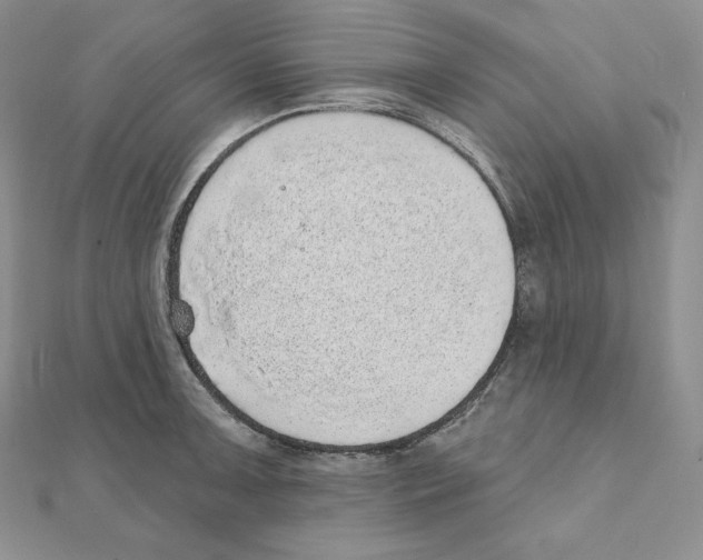 X0000111131091200907281045