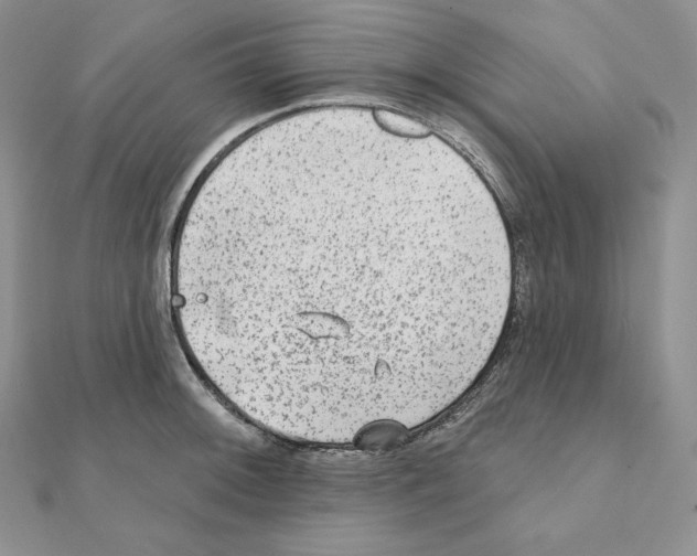 X0000111131092200907281045
