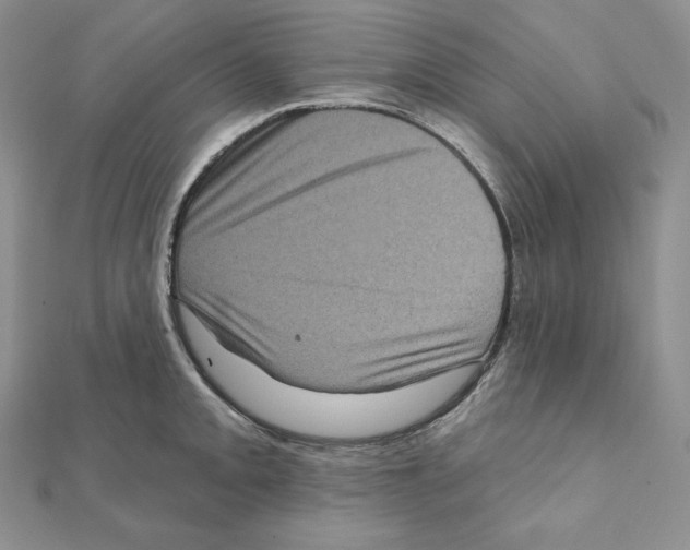 X0000111131093200907281045