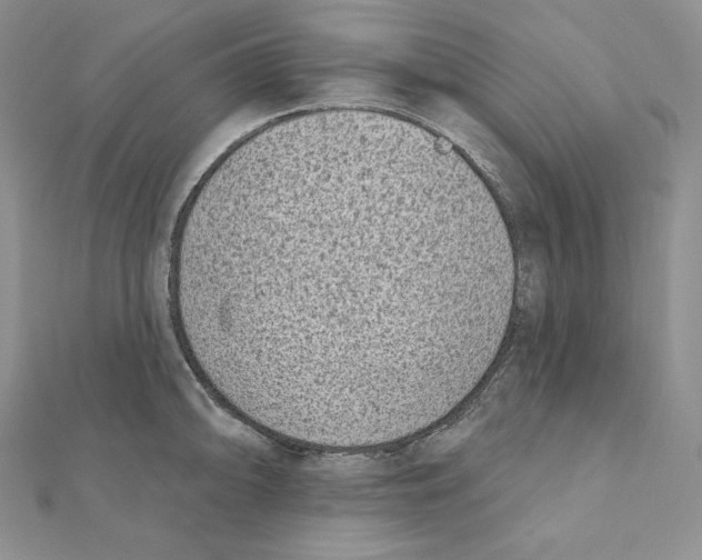 X0000111131094200907281045