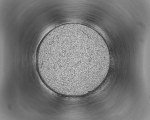 X0000111131095200907281045
