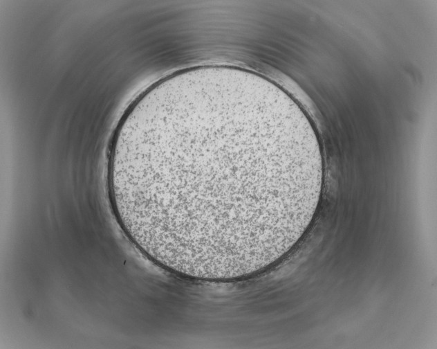 X0000111131096200907281045