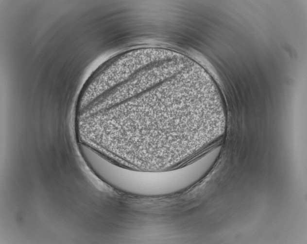 X0000111131098200907281045