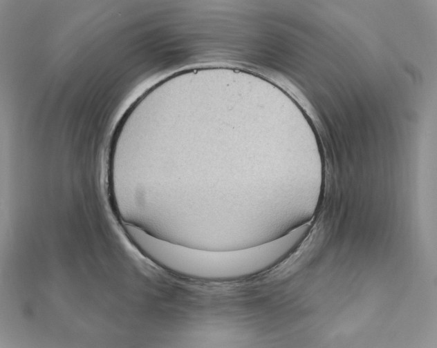 X0000111131101200907281045