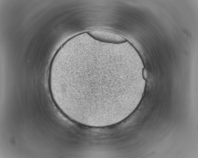 X0000111131102200907281045
