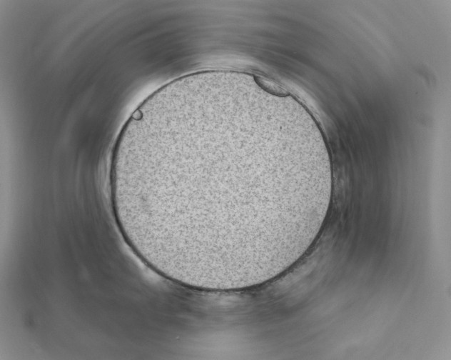 X0000111131103200907281045