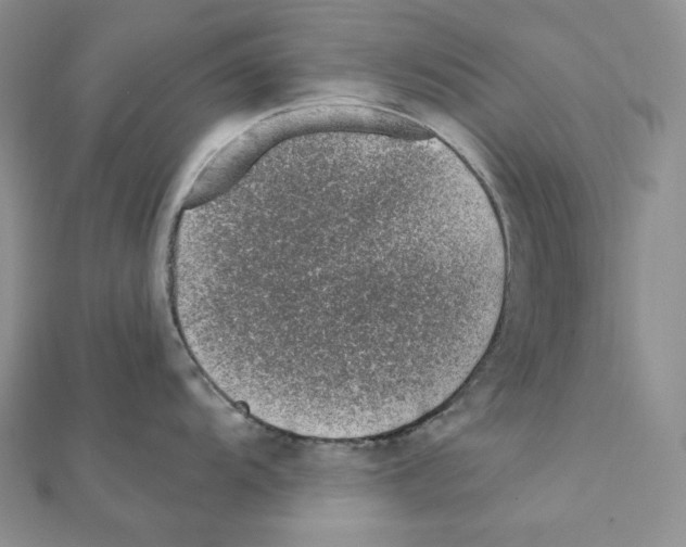 X0000111131104200907281045