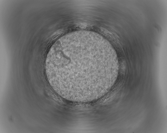 X0000111131105200907281044