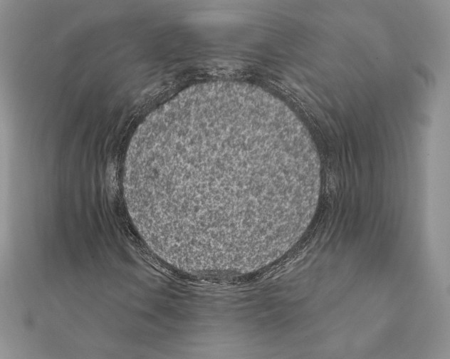 X0000111131106200907281044