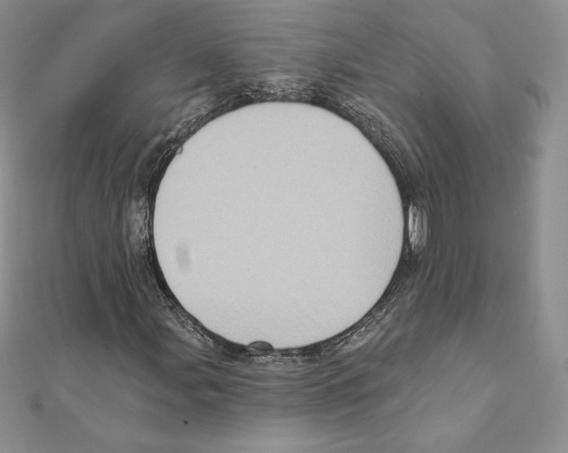 X0000111131107200907281044