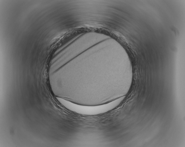 X0000111131110200907281044