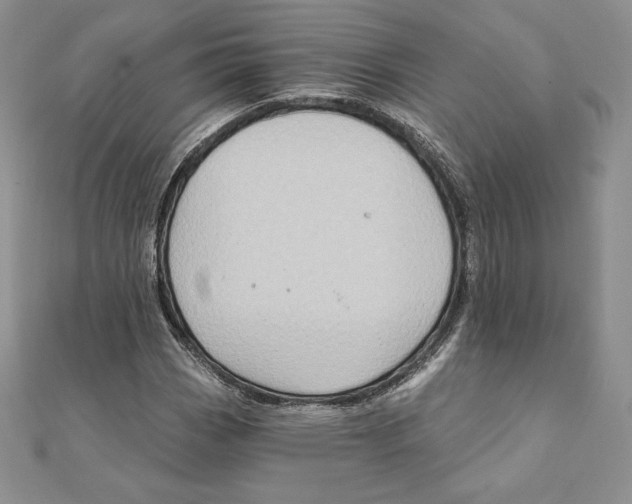 X0000111131113200907281044