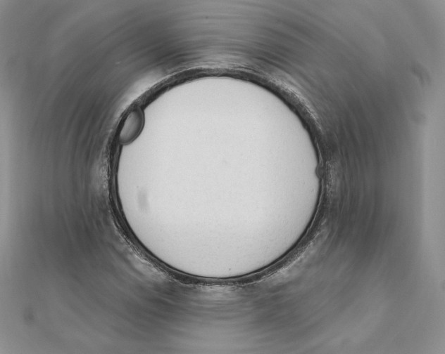 X0000111131114200907281044