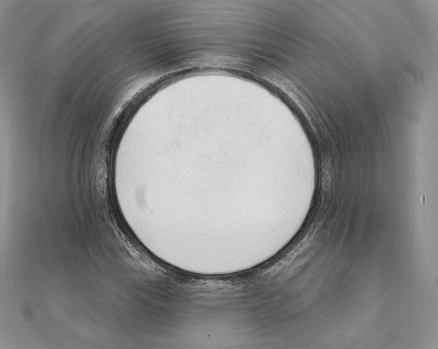 X0000111131115200907281044