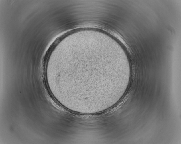 X0000111131116200907281045