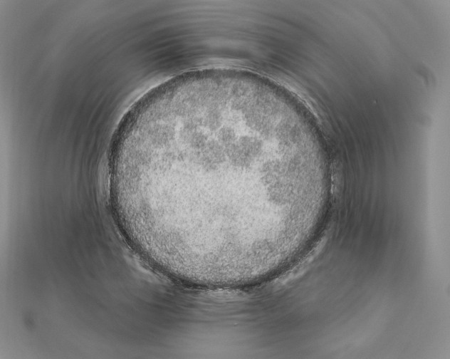 X0000111131117200907281045