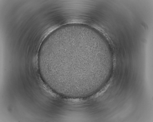 X0000111131121200907281045