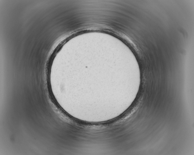 X0000111131122200907281045