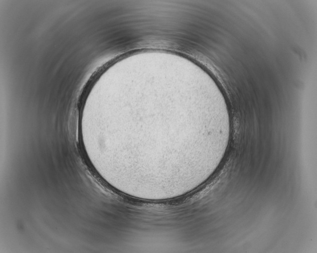 X0000111131123200907281045