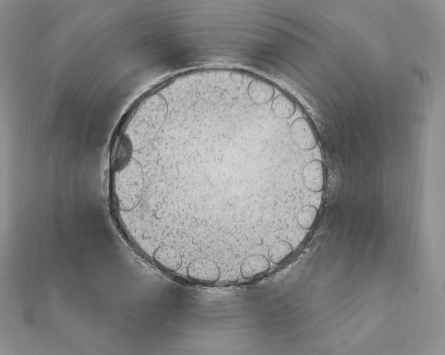 X0000111131126200907281045