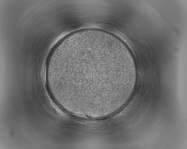 X0000111131127200907281045