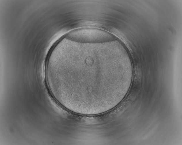 X0000111131128200907281045