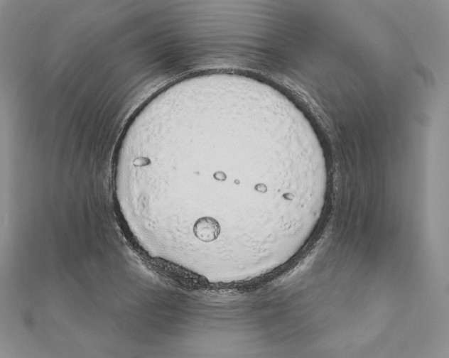 X0000111131129200907281045