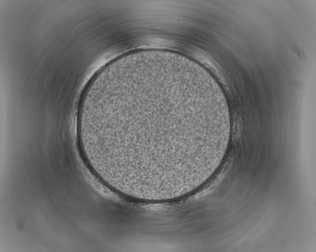 X0000111131130200907281045