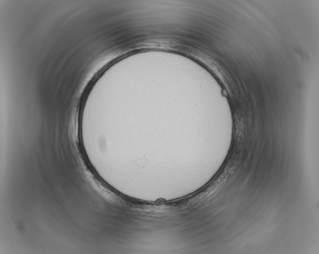 X0000111131131200907281045