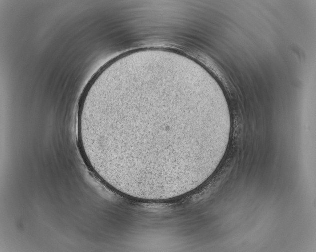 X0000111131132200907281045