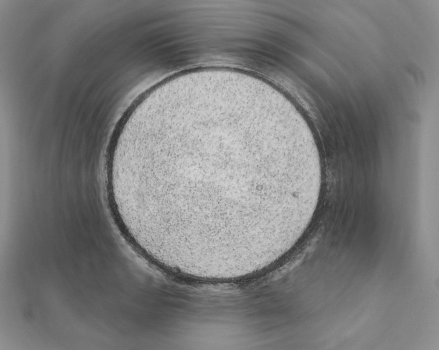 X0000111131133200907281045