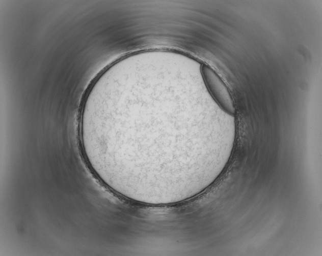 X0000111131134200907281045
