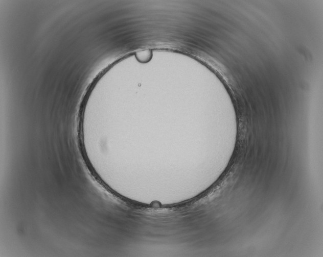 X0000111131135200907281045