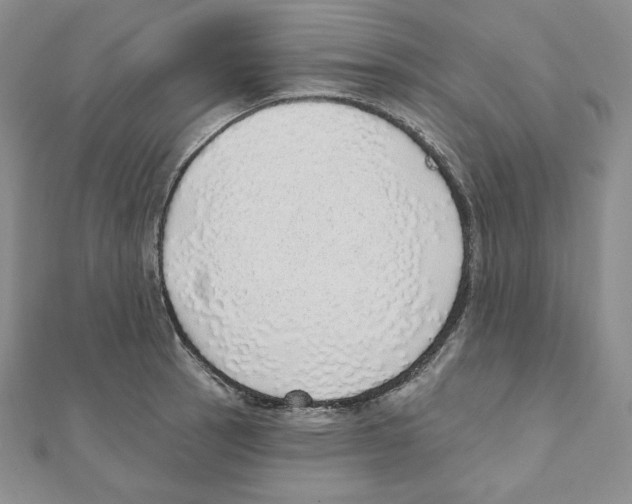 X0000111131137200907281045
