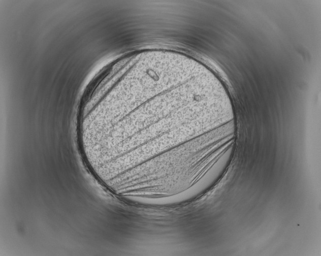 X0000111131138200907281045